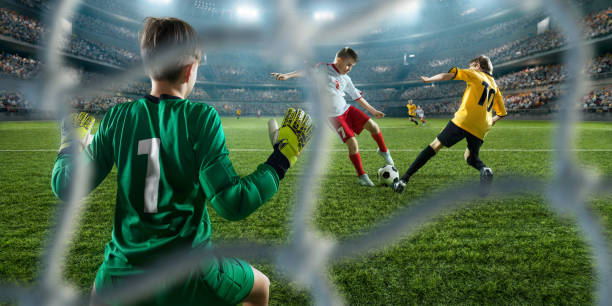 仅能够提高 仅能够提高