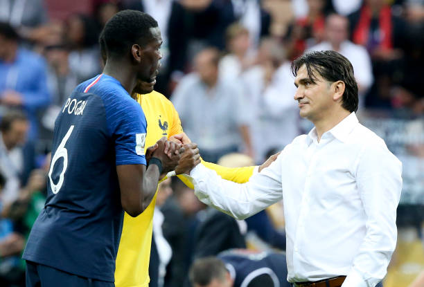 郑钦文与斯 郑钦文与斯